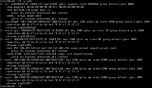 How to rename an network interface with Oracle Linux 8
